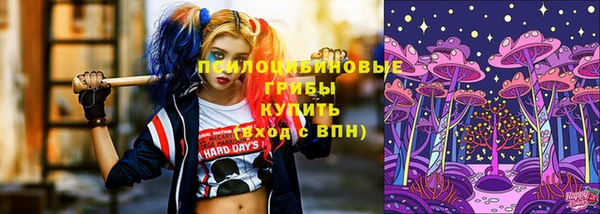 тгк Балахна