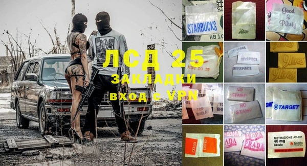 трава Аркадак